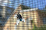 DRAAK Insect Mesh 0.60 Meter Wide Flame & Water Resistant for Flies, Mosquitoes, Moths & Insects (1 meter) - Builders Emporium